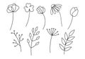 A set of nine flowers and plants in a sketch style. Royalty Free Stock Photo